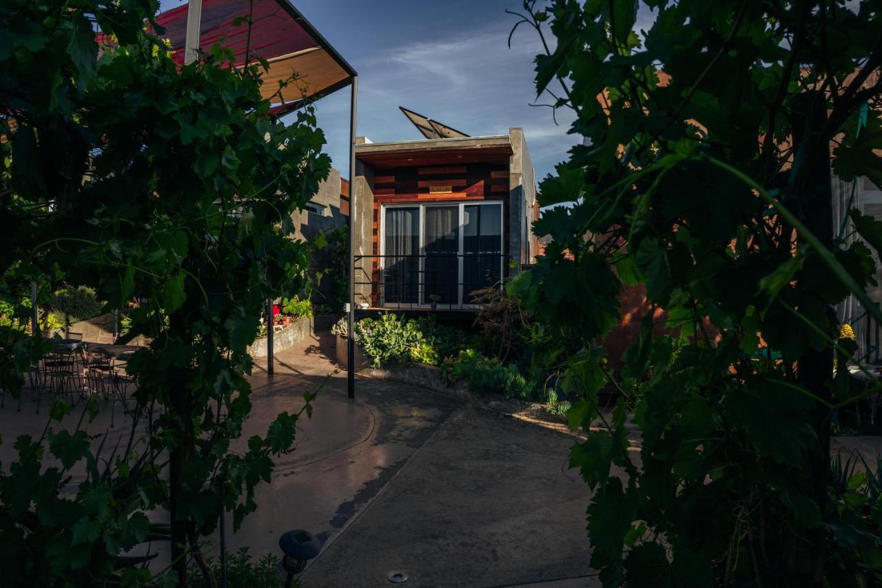 Entre Vides Valle De Guadalupe Exteriör bild