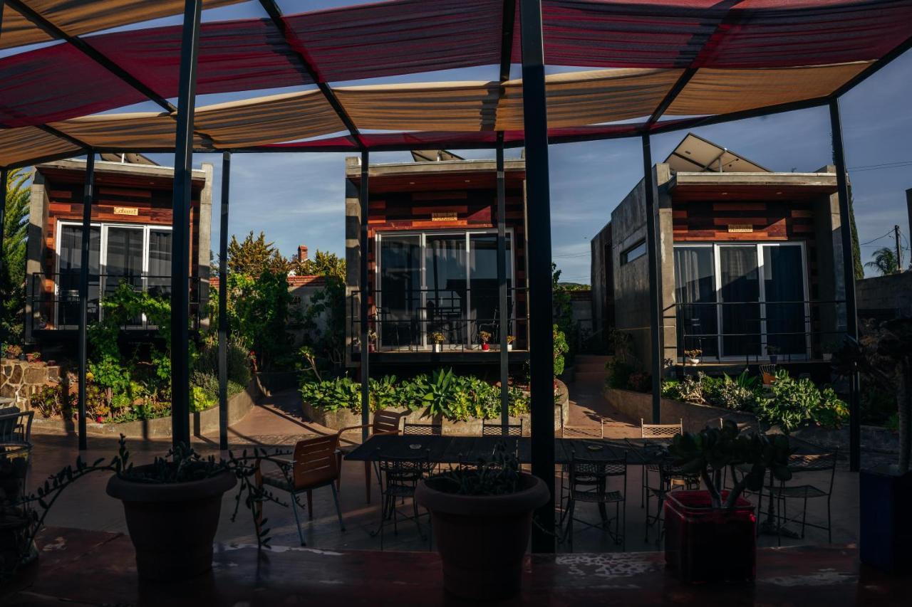 Entre Vides Valle De Guadalupe Exteriör bild