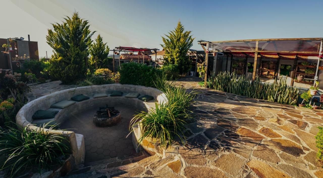 Entre Vides Valle De Guadalupe Exteriör bild
