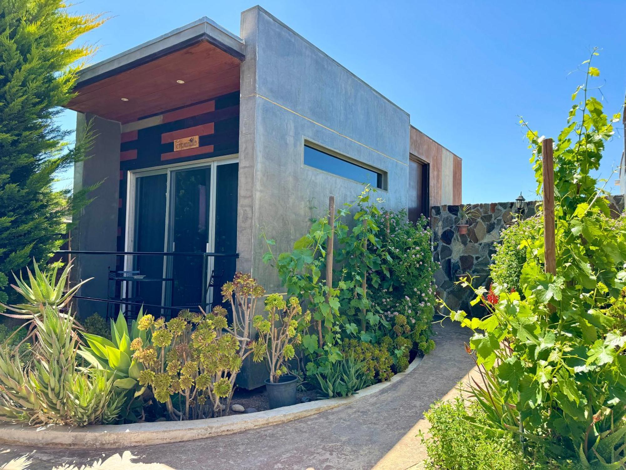 Entre Vides Valle De Guadalupe Exteriör bild